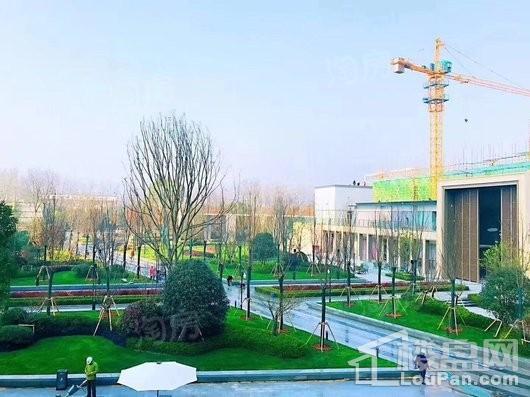 万科·公园大道实景图