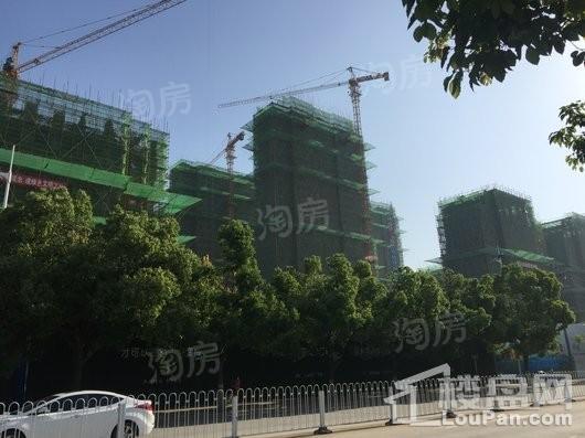 天鹅湖ΜΟΜΛ实景图