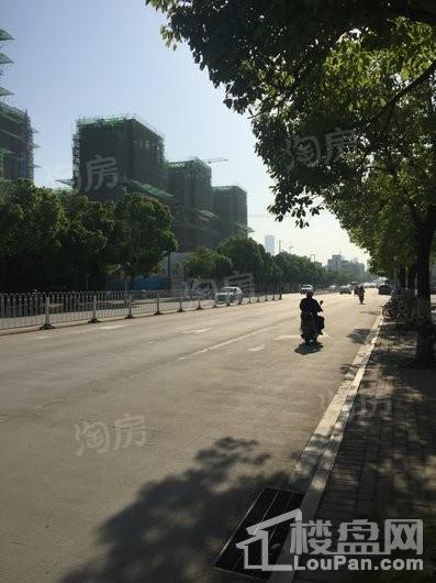 天鹅湖ΜΟΜΛ实景图