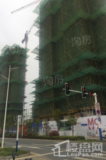 天鹅湖ΜΟΜΛ实景图
