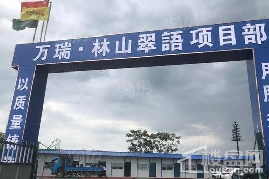 万瑞林山翠语实景图