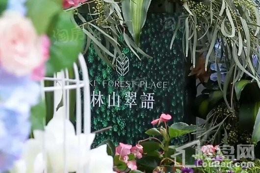万瑞林山翠语实景图