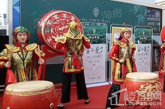 万瑞林山翠语实景图
