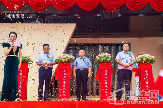 万瑞林山翠语实景图