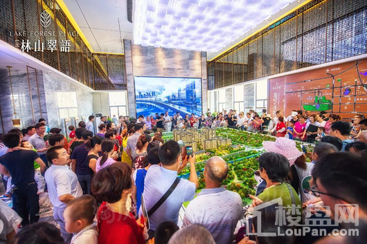 万瑞林山翠语实景图