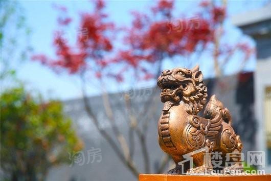 文一泰禾·合肥院子实景图