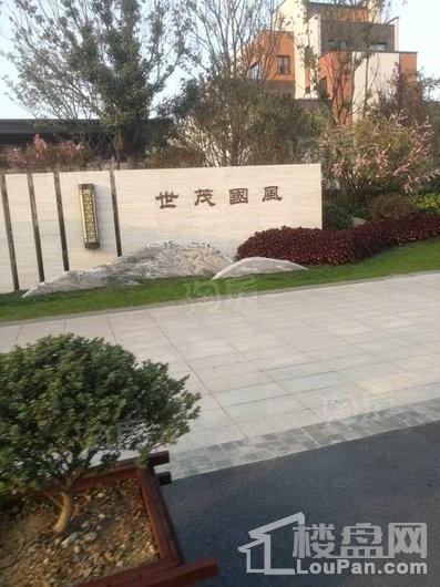 世茂国风实景图