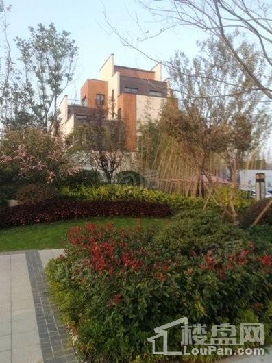 世茂国风实景图