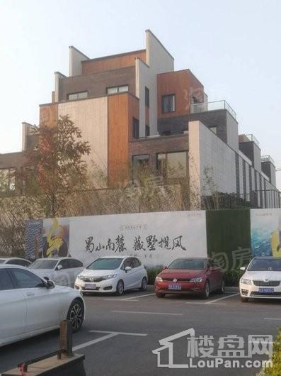 世茂国风实景图