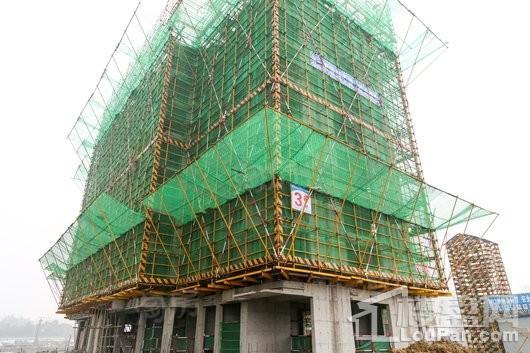 高速中央公园实景图
