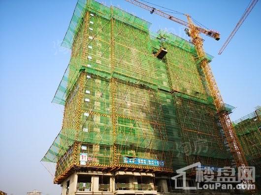 实景图