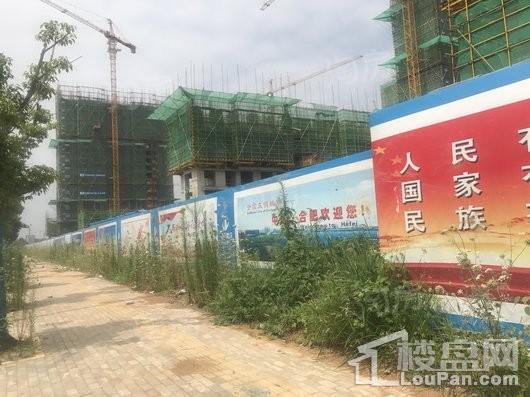 禹洲·平湖秋月实景图