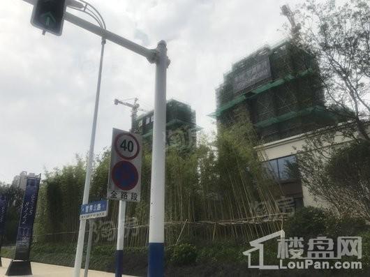 禹洲·平湖秋月实景图
