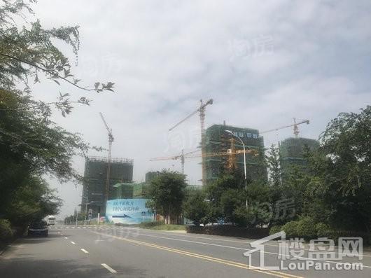 禹洲·平湖秋月实景图