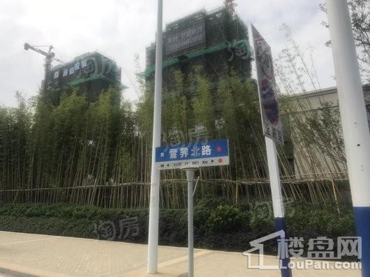 禹洲·平湖秋月配套图