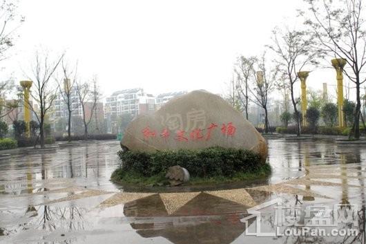 力高君御国际配套图