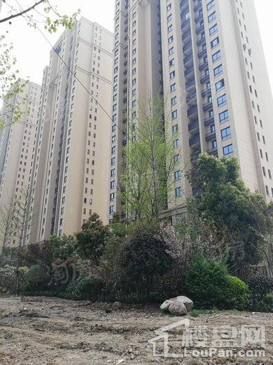 海尔地产·智慧公馆实景图