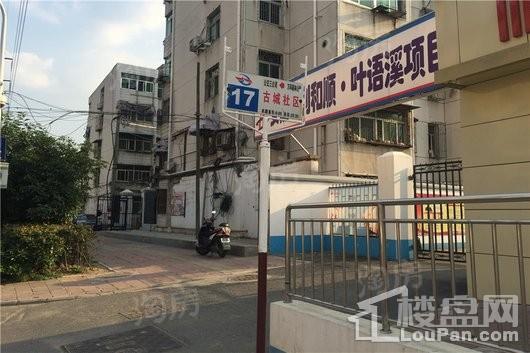 和顺·叶语溪配套图