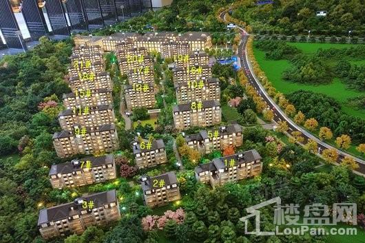 华邦蜀山别院实景图