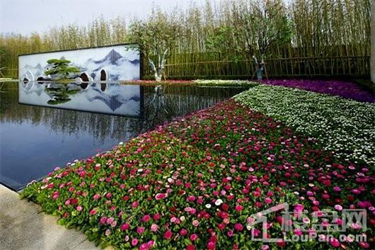 华邦蜀山别院实景图