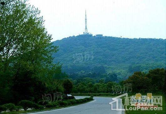 华邦蜀山别院配套图