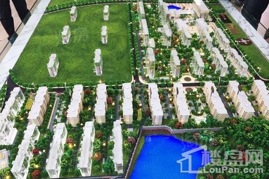 远洋山水实景图