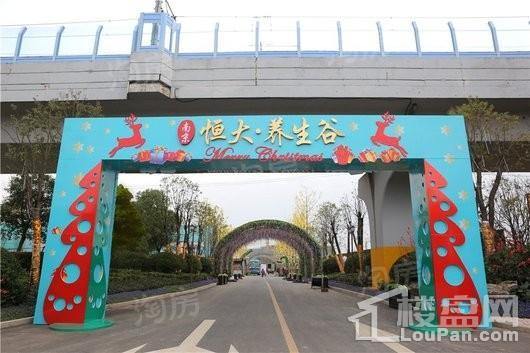 南京恒大养生谷实景图