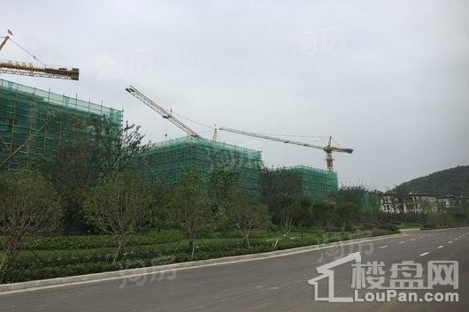 高科紫微堂实景图