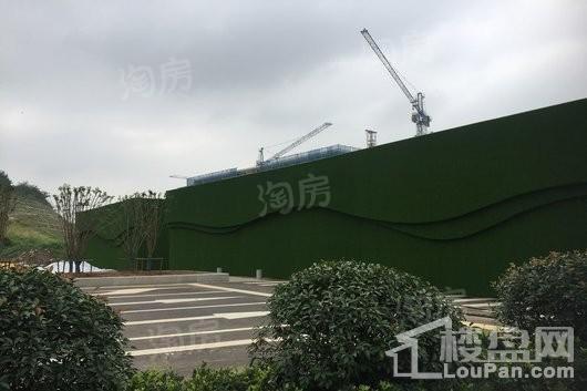 高科紫微堂实景图