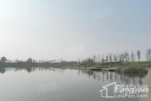 星叶欢乐城配套图