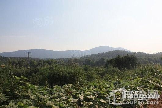 星叶欢乐城配套图