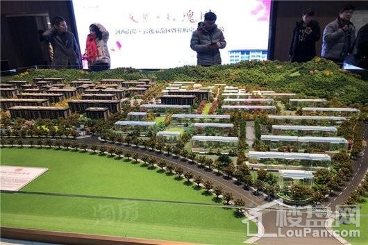 绿城云栖玫瑰园实景图