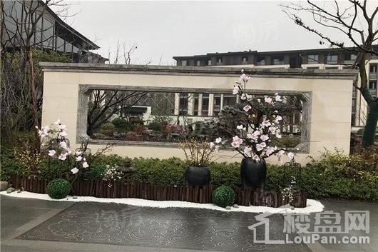 绿城云栖玫瑰园实景图