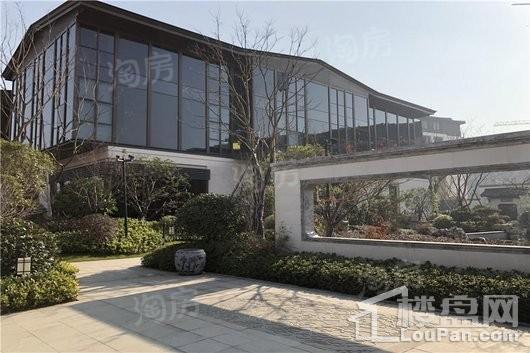 绿城云栖玫瑰园实景图