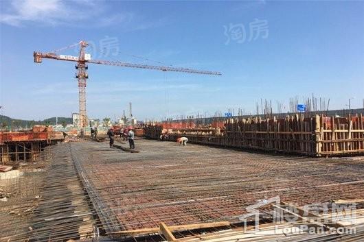 红星紫御半岛实景图