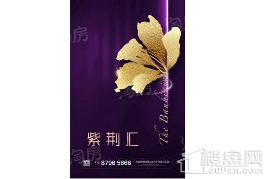 紫荆汇效果图