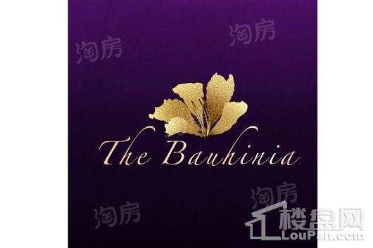 紫荆汇效果图