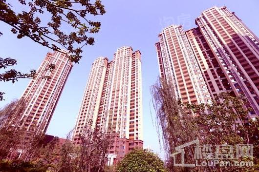 西派泊玥实景图