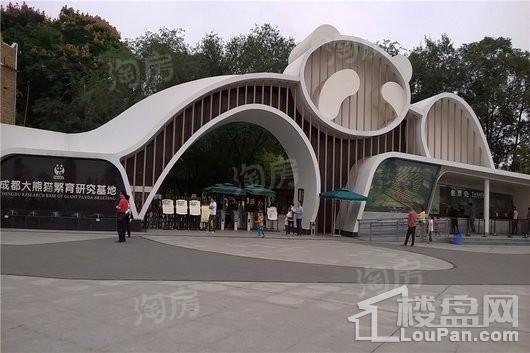 西派泊玥配套图