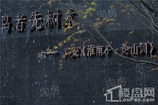 北大资源紫境东来实景图