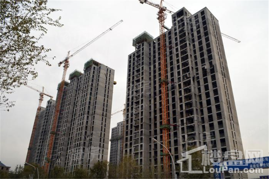 恒大翡翠华庭·铂郡实景图