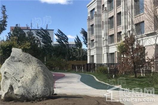 水岸十里实景图