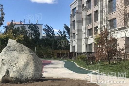 水岸十里实景图