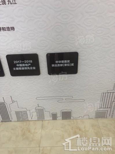 祥生·东方樾实景图