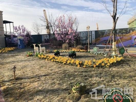 亿利生态城实景图