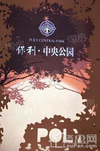 保利中央公园实景图