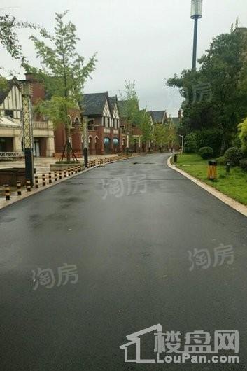 保利中央公园实景图