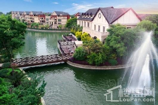 保利中央公园实景图