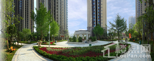 天悦龙栖台实景图