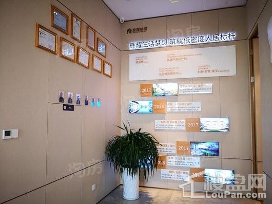 金辉中央云著实景图